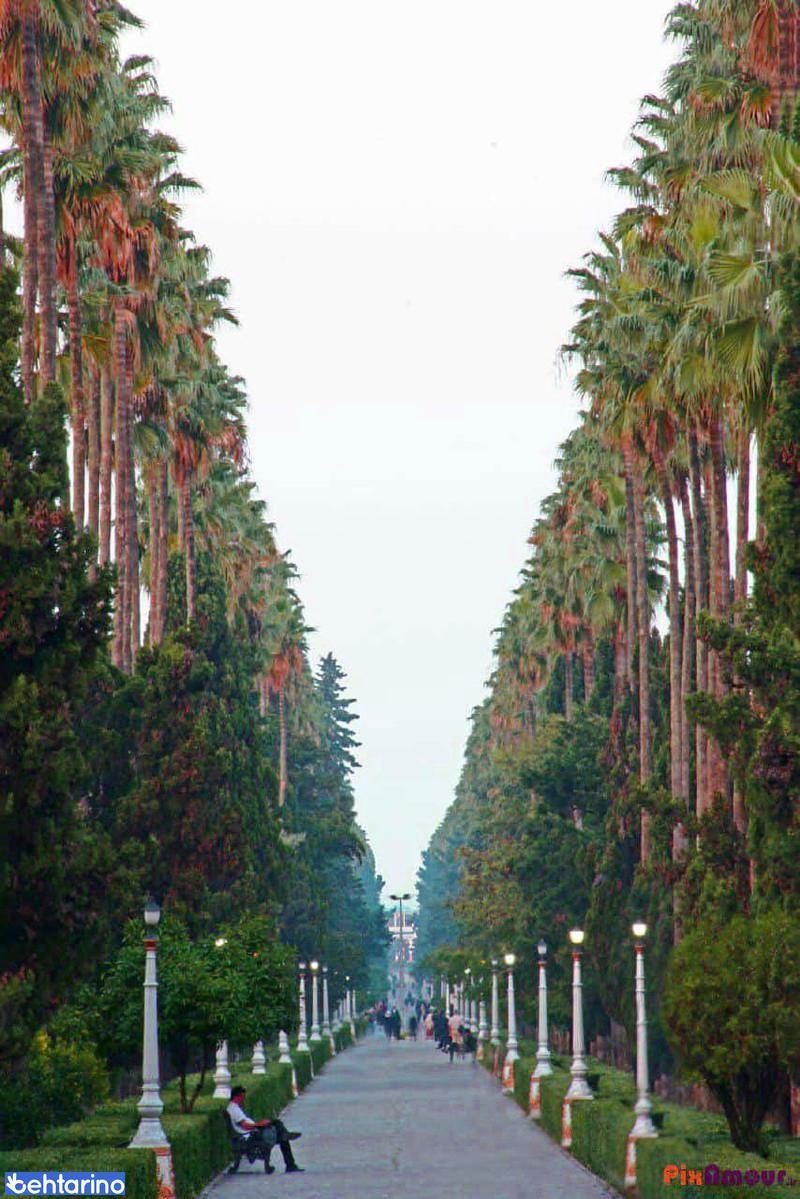 بلوار کازینو