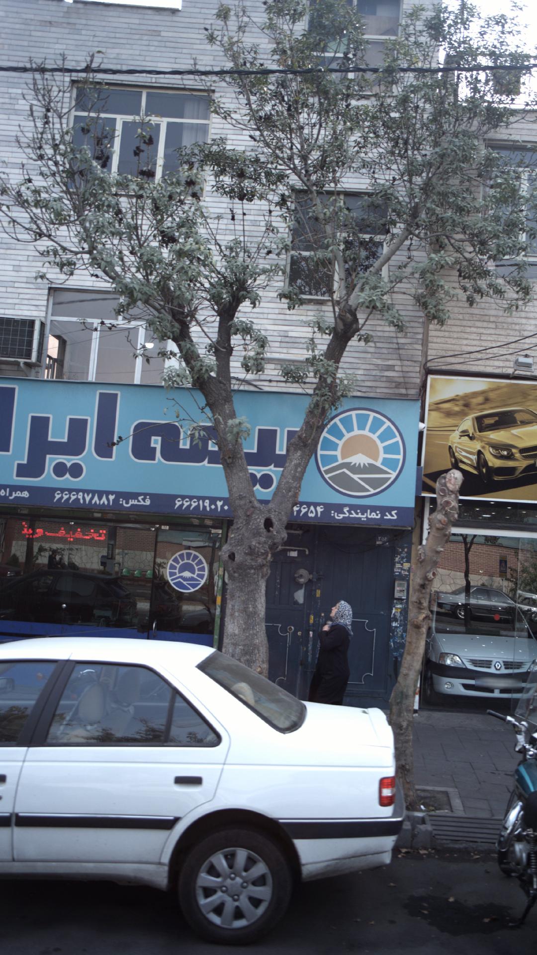 بیمه ایران (کد 4202)