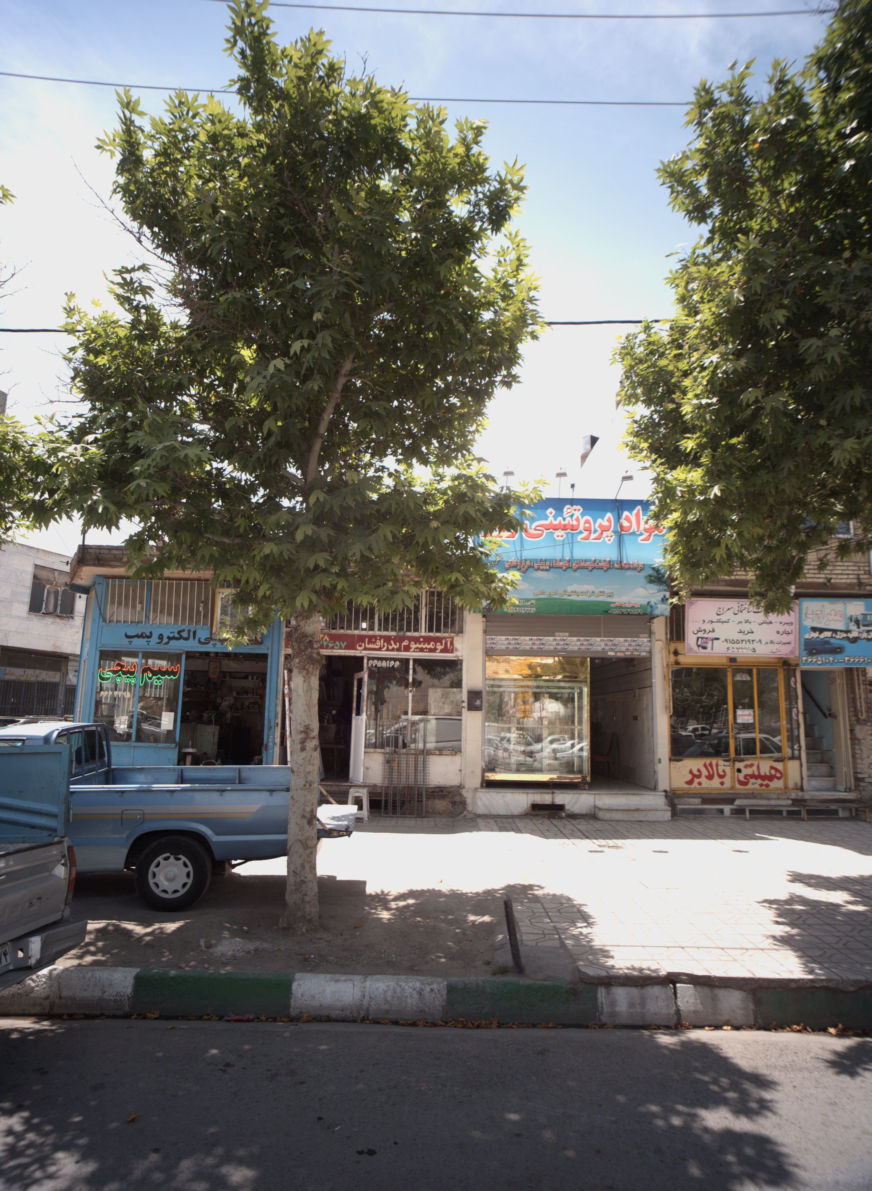 مواد پروتئینی روز