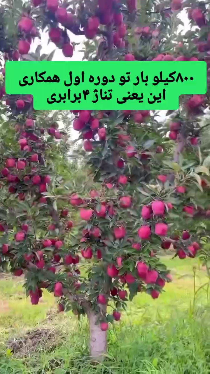فروشگاه کودهای ارگانیک کروا