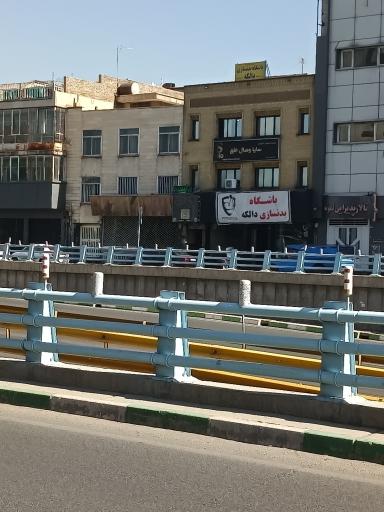 باشگاه بدنسازی دالکه