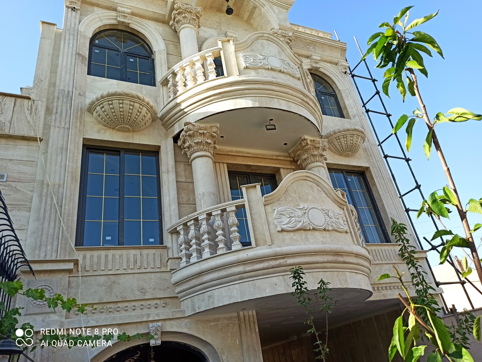 داود نعمتی جمالی