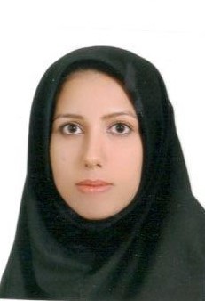 وکیل حمیده میرزایی پور میبدی.