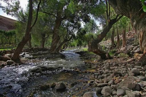 لبنیاتی اعتماد لیقوان
