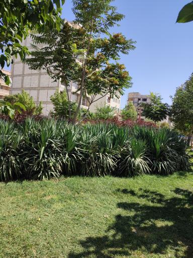 بوستان فدک