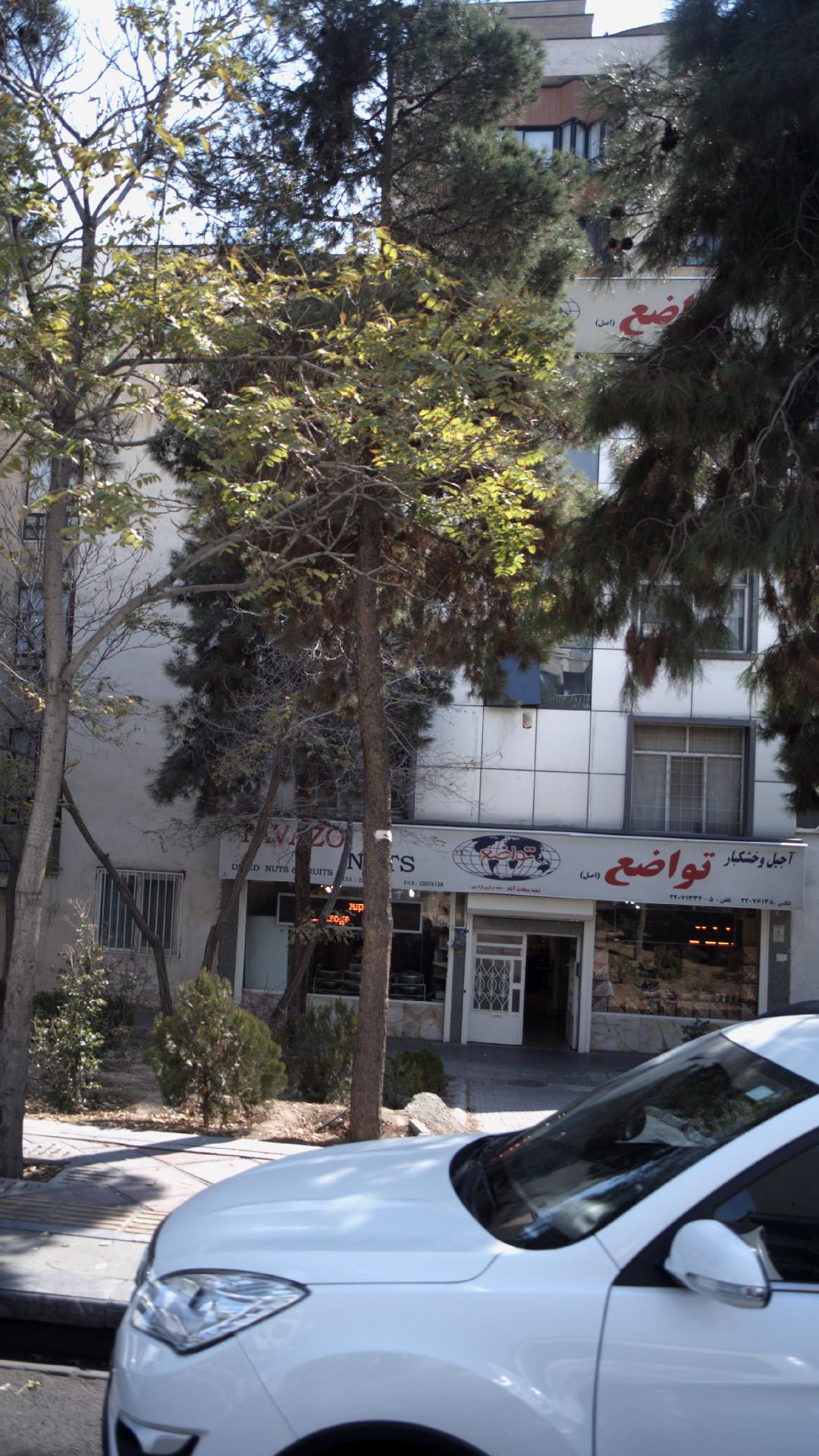 آجیل و خشکبار تبریز متواضع