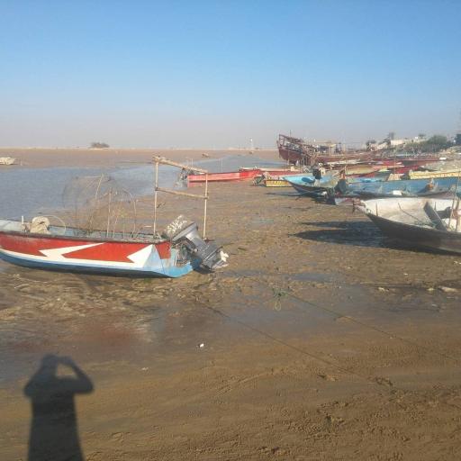 جزیره شمالی