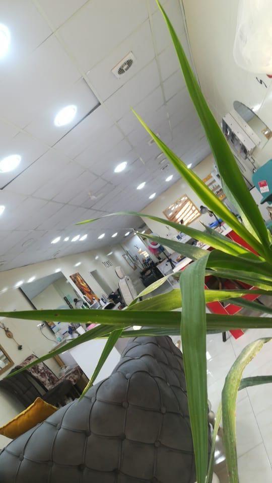 سالن زیبایی ونوس مسجدسلیمان