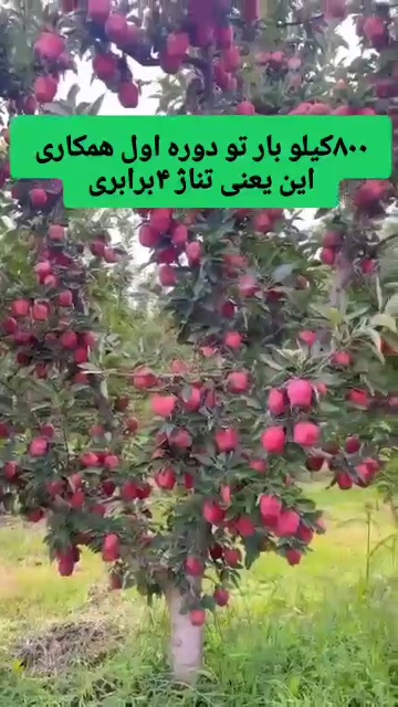 کارشناس کشاورزی
