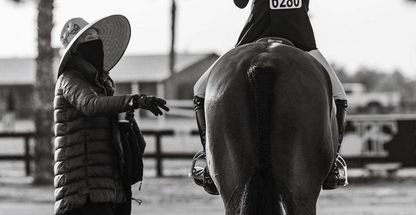 باشگاه سوارکاری سلطان