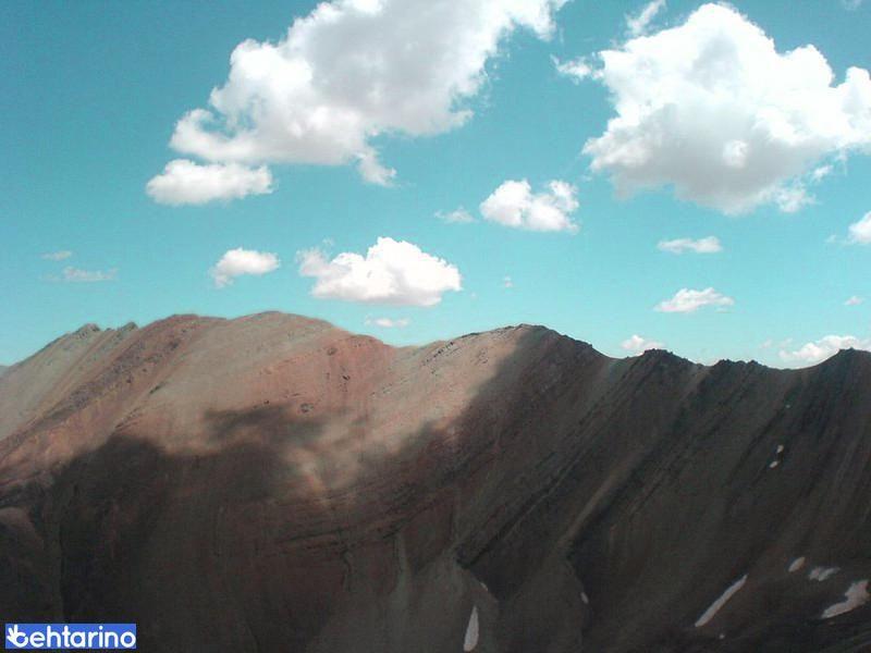 هرزه کوه (دال کولی )