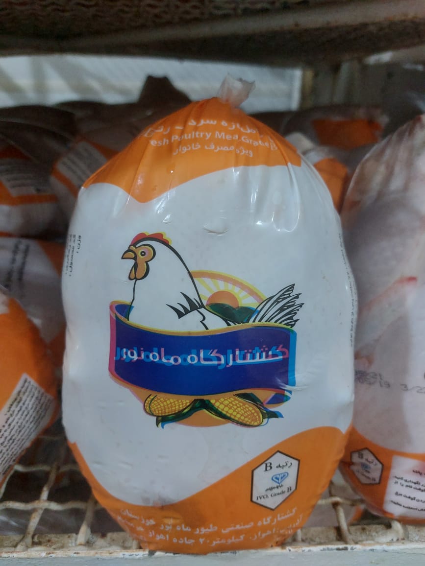 پخش مرغ ماه نور