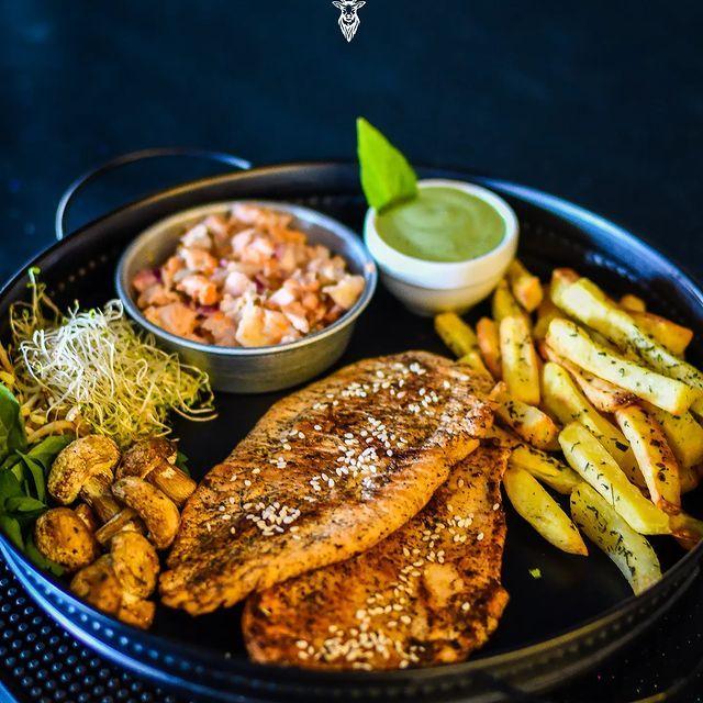 کافه فست فود داما