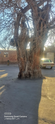 پست بآنک بآجه منزل اباد
