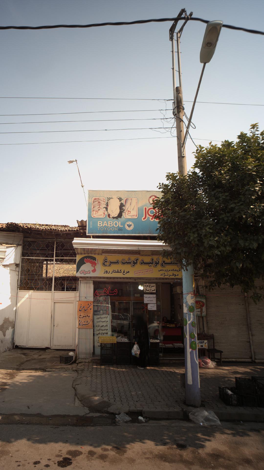 مجتمع تولید گوشت و مرغ