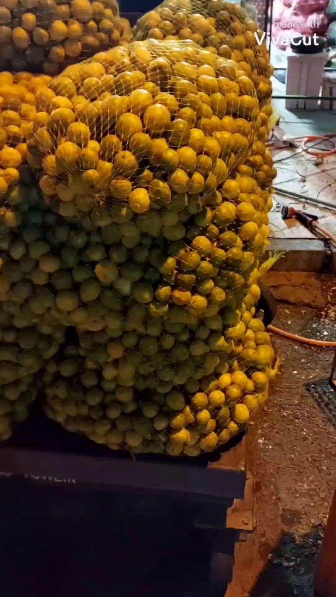 بارفروشی وحید قنبرلو