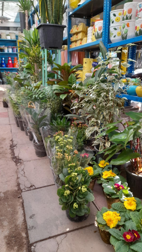 گل فروشی مهستان