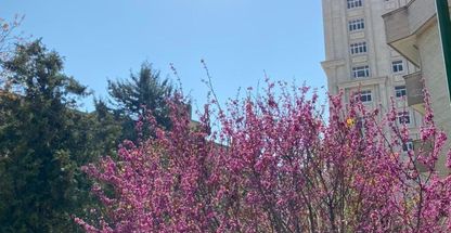 دانشکده پرستاری و مامایی دانشگاه شهید بهشتی