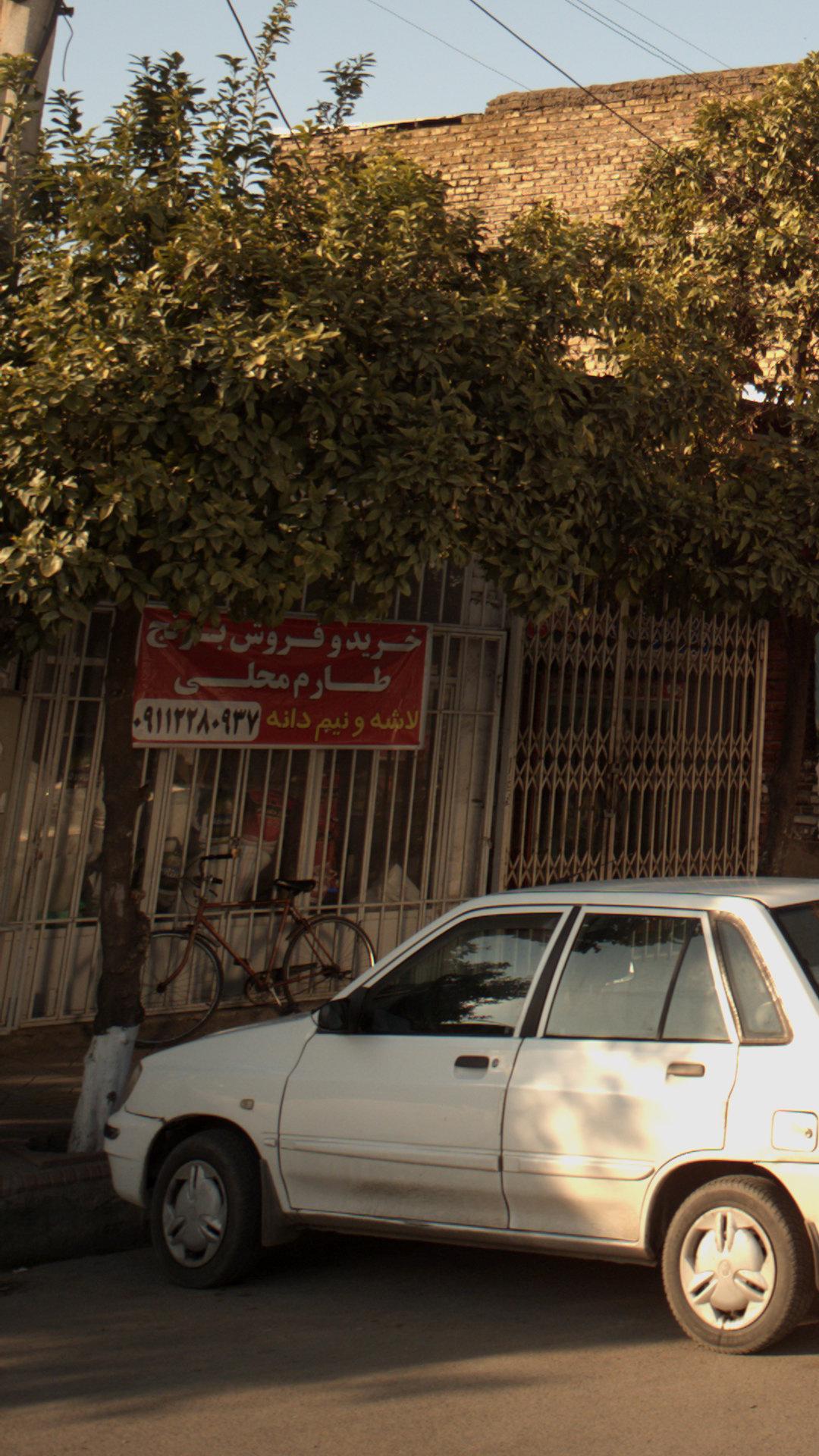 بازرگانی برنج زمانی