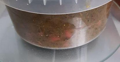 رستوران و تهیه غذا نمکدون