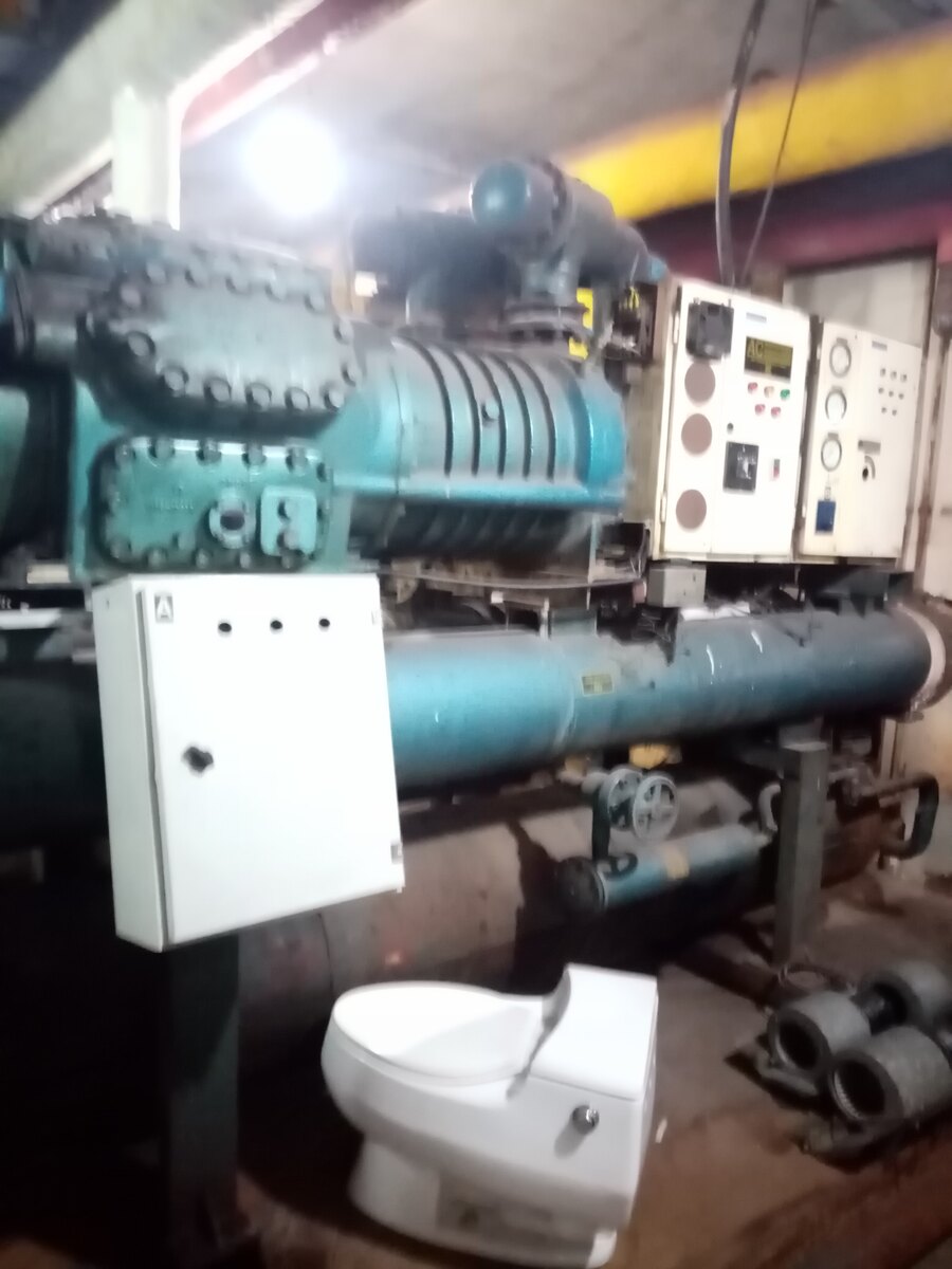 وحید ولیپور