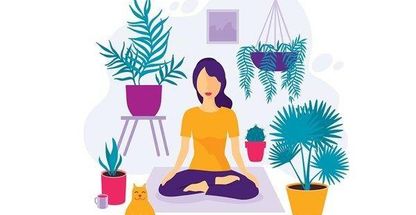 خدمات مزاج شناسی، زبان شناسی عباسی