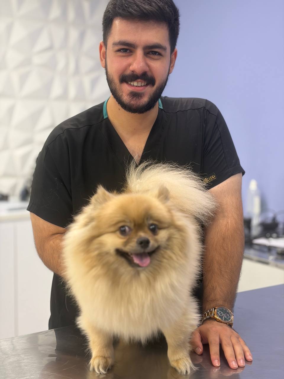 کلینیک دامپزشکی پالس