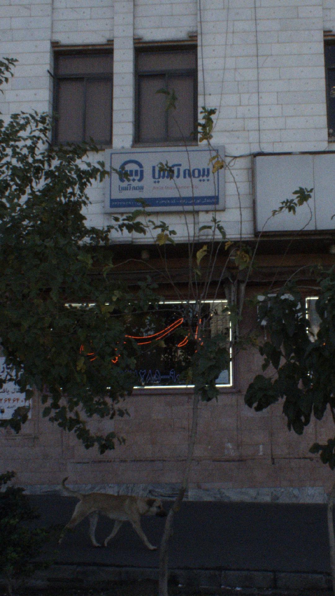 نمایندگی بیمه ایران تهران کد 5959