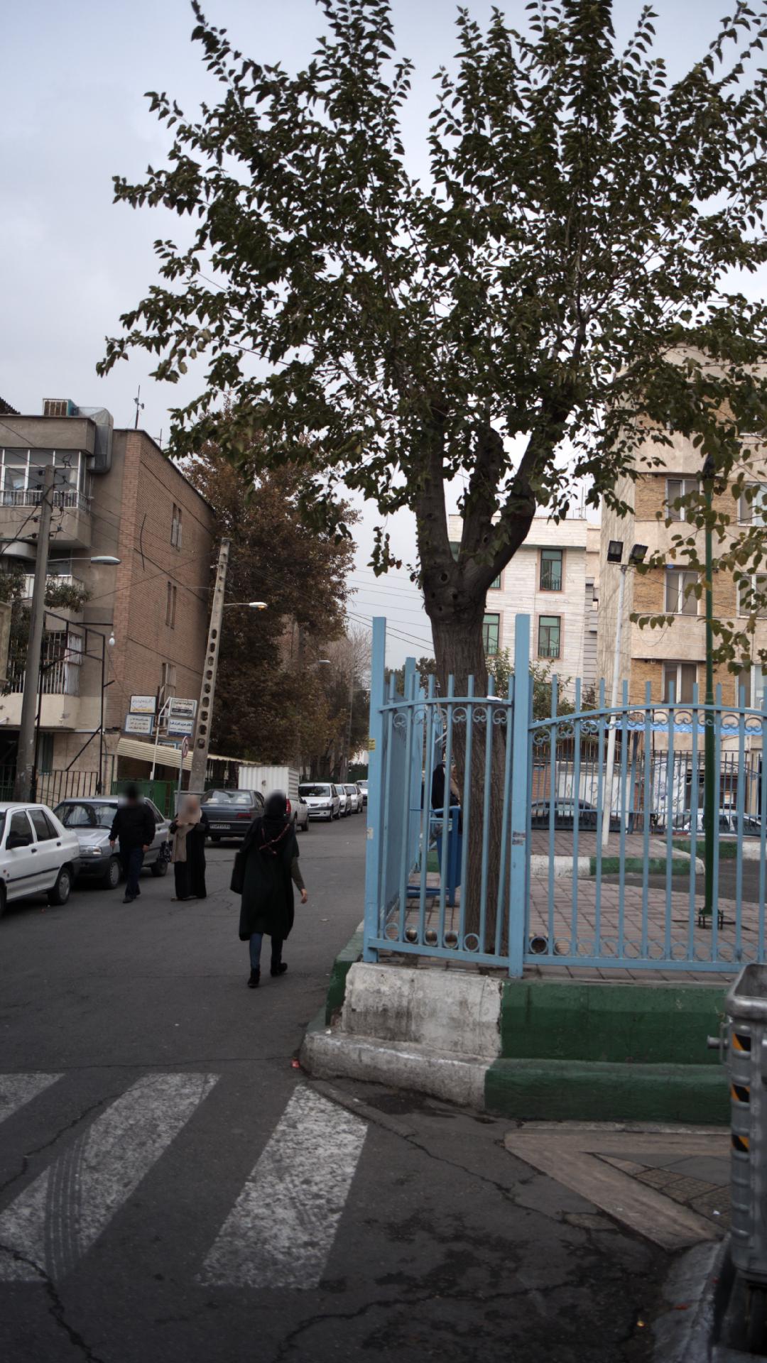 دکتر عزیز فوزی فرد
