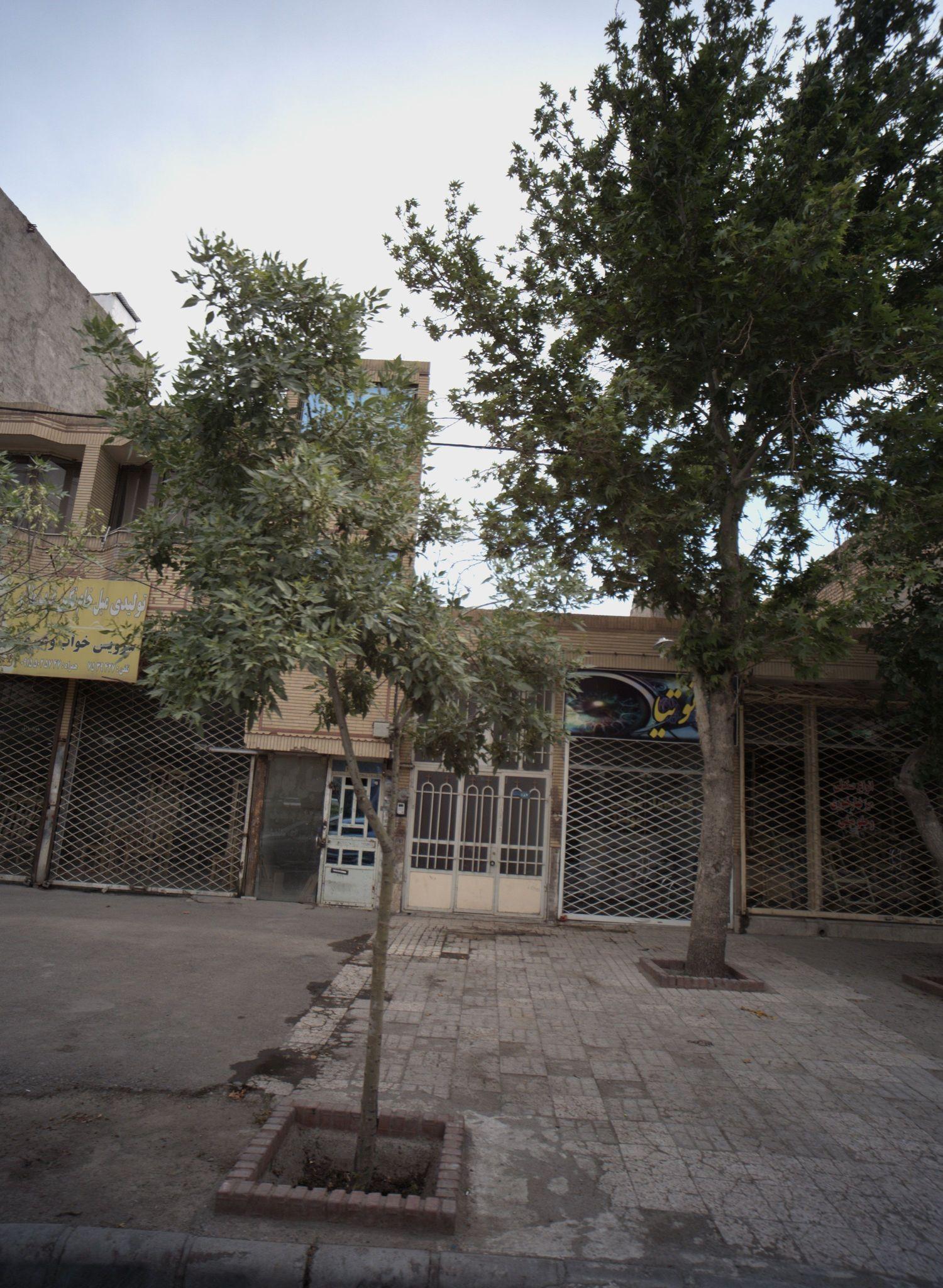 استودیو توتیا