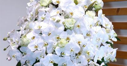 گلفروشی چیچک