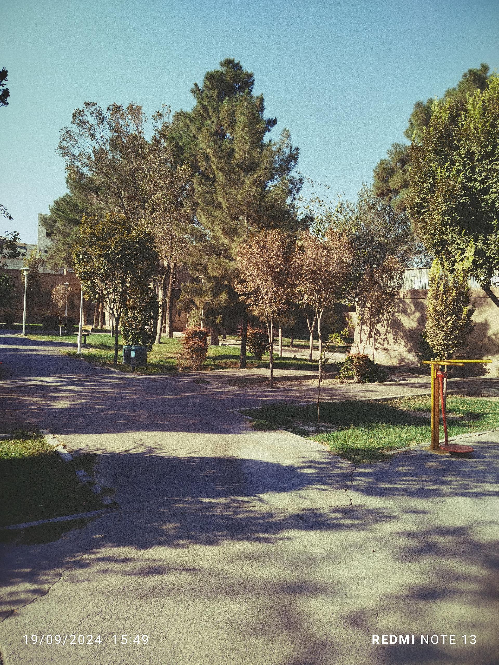 پارک مسجد مصلی