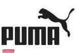 نمایندگی پوشاک پوما Puma شعبه باشگاه انقلاب