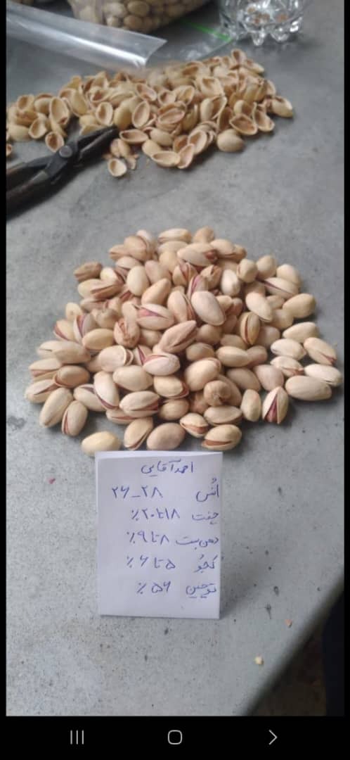 تجارت پسته امین