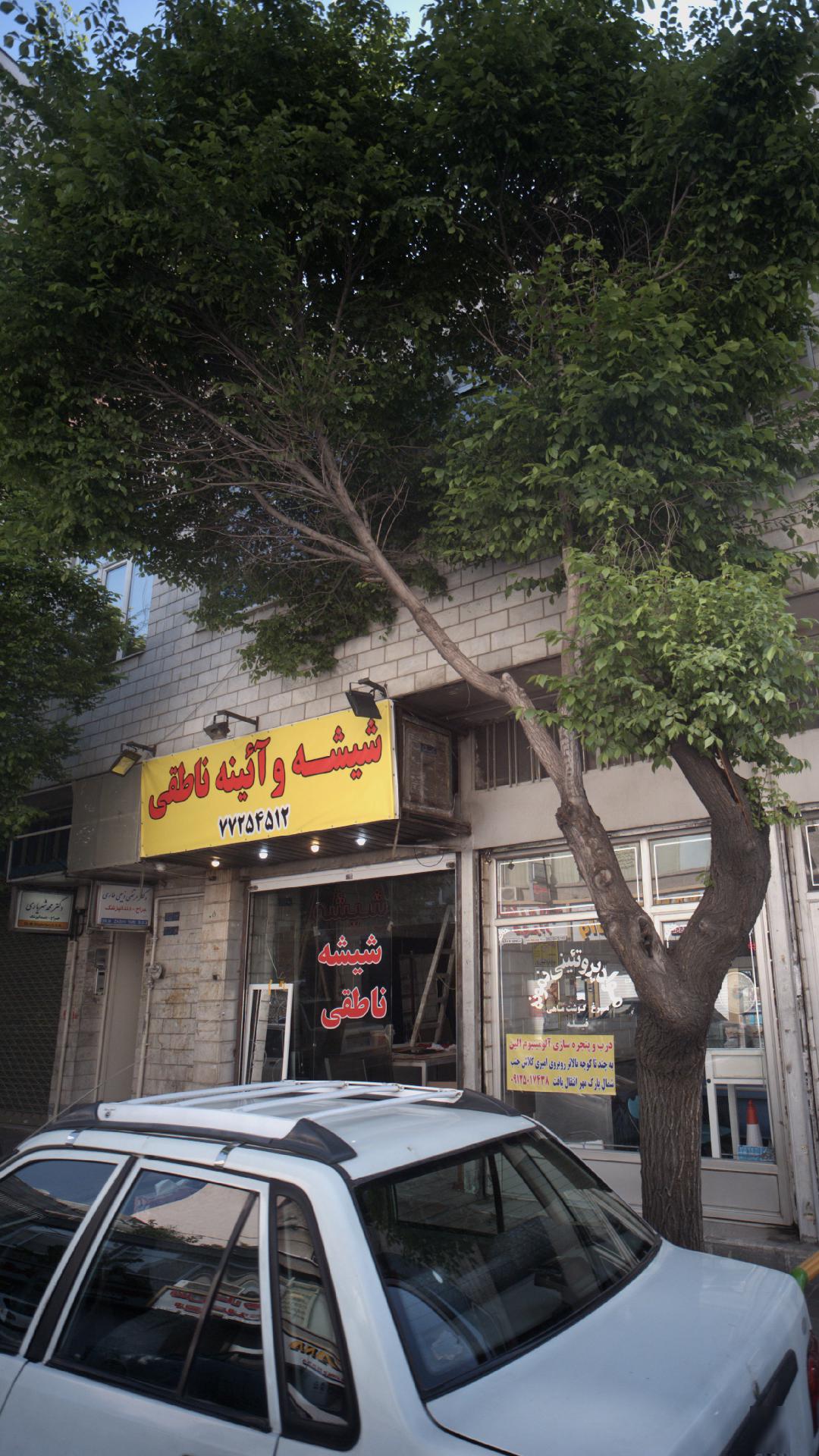 دکتر مرتضیذبیحی طاری