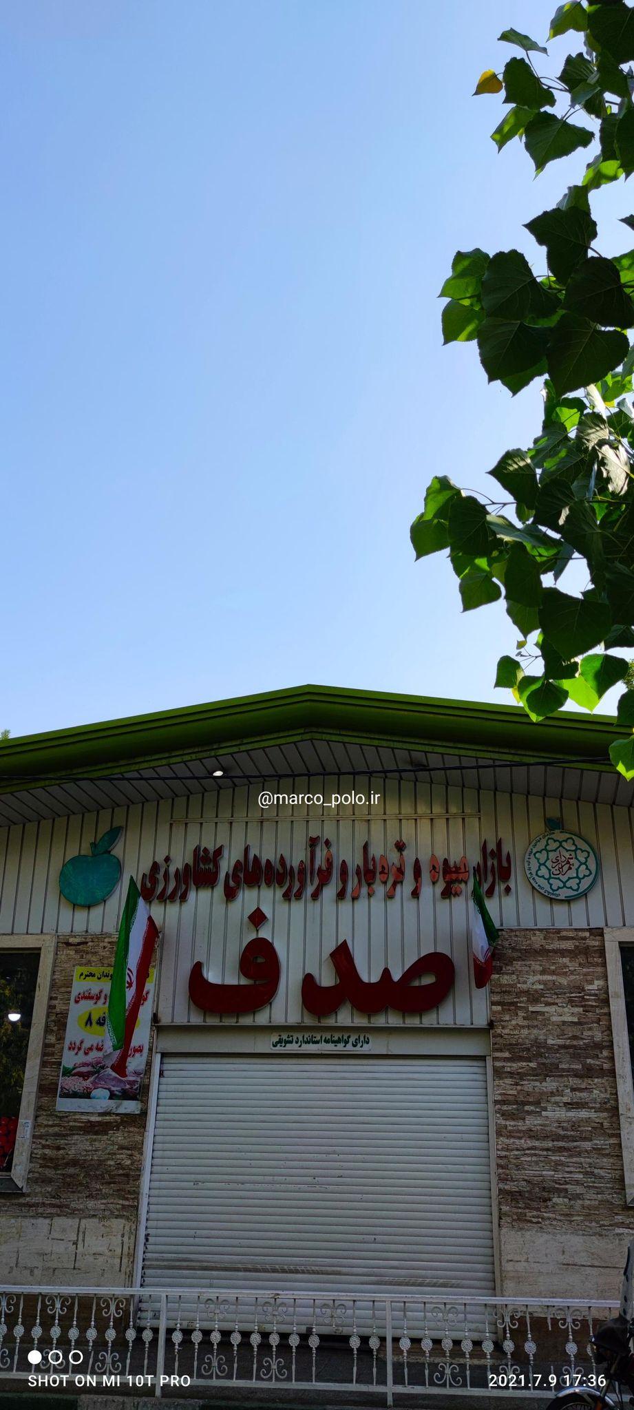 بازار میوه و تره بار صدف