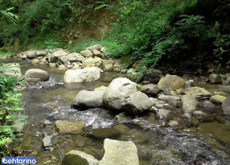 روستای بالارود