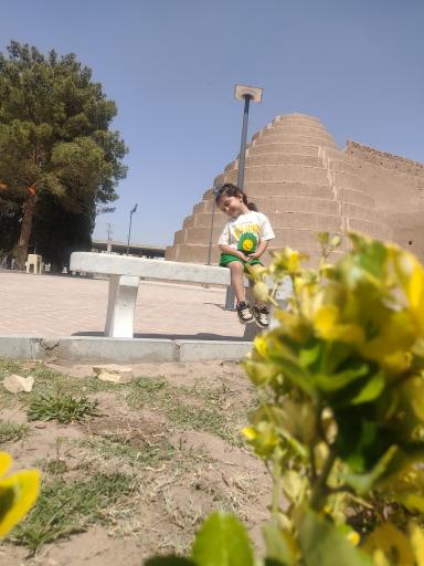 یخدان های دوقلو سیرجان