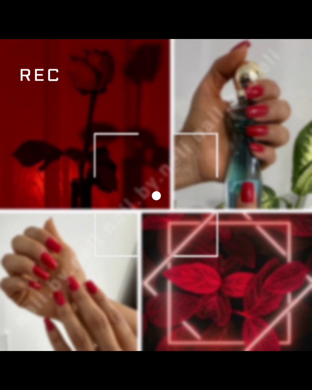 خدمات ناخن نلی