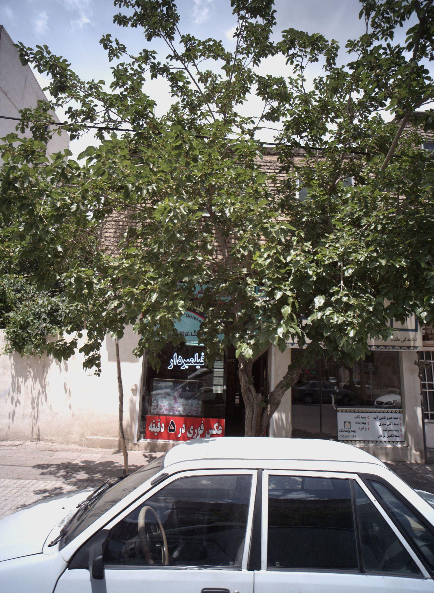 عکاسی و فیلم برداری