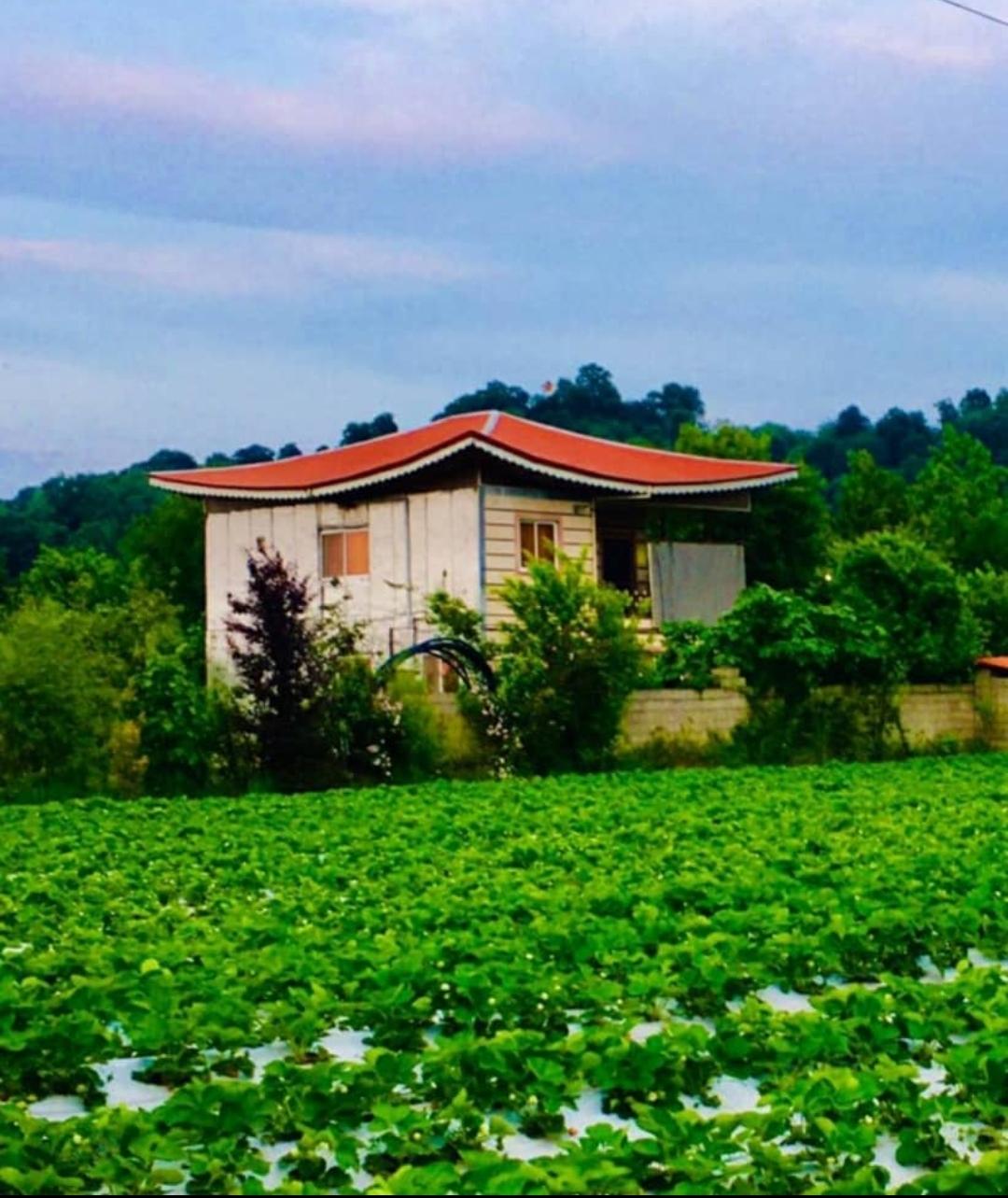 خانه مسافر یاسین