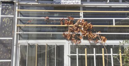 نان لواشی محلی قربانعلی قنبری