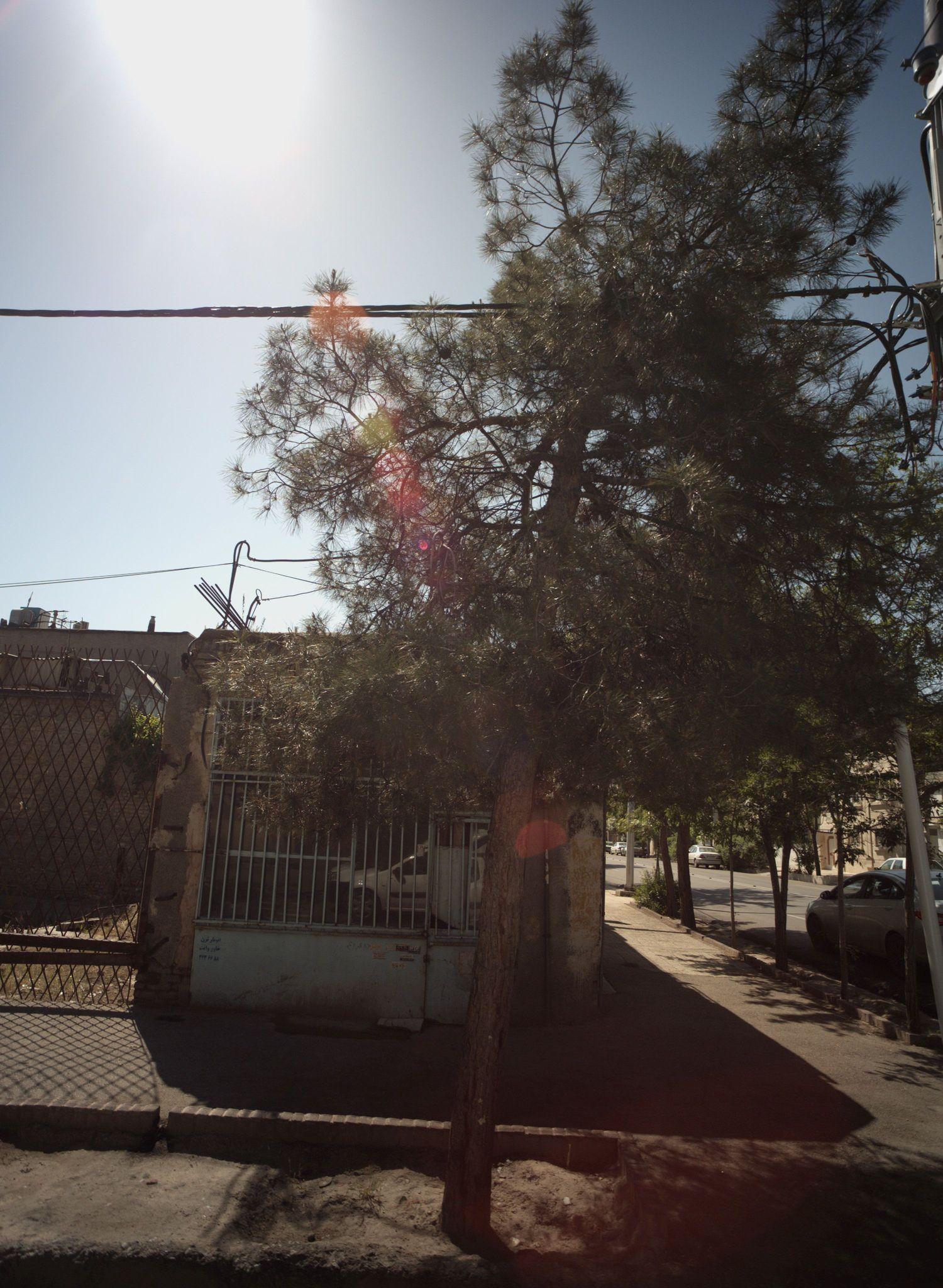 اتو بار ترن