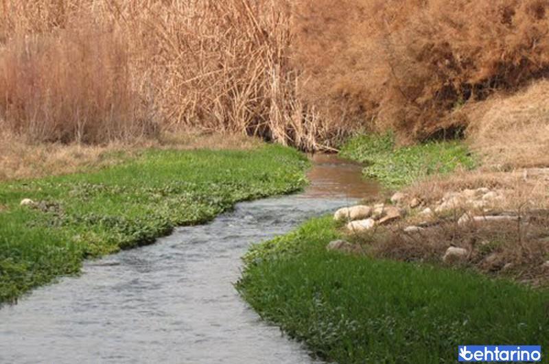 رودخانه گل رودبار