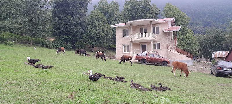 سرای زینعلی