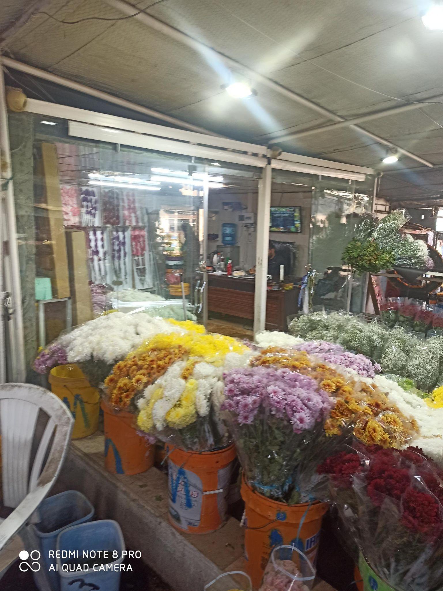 گل فروشی کولیوند