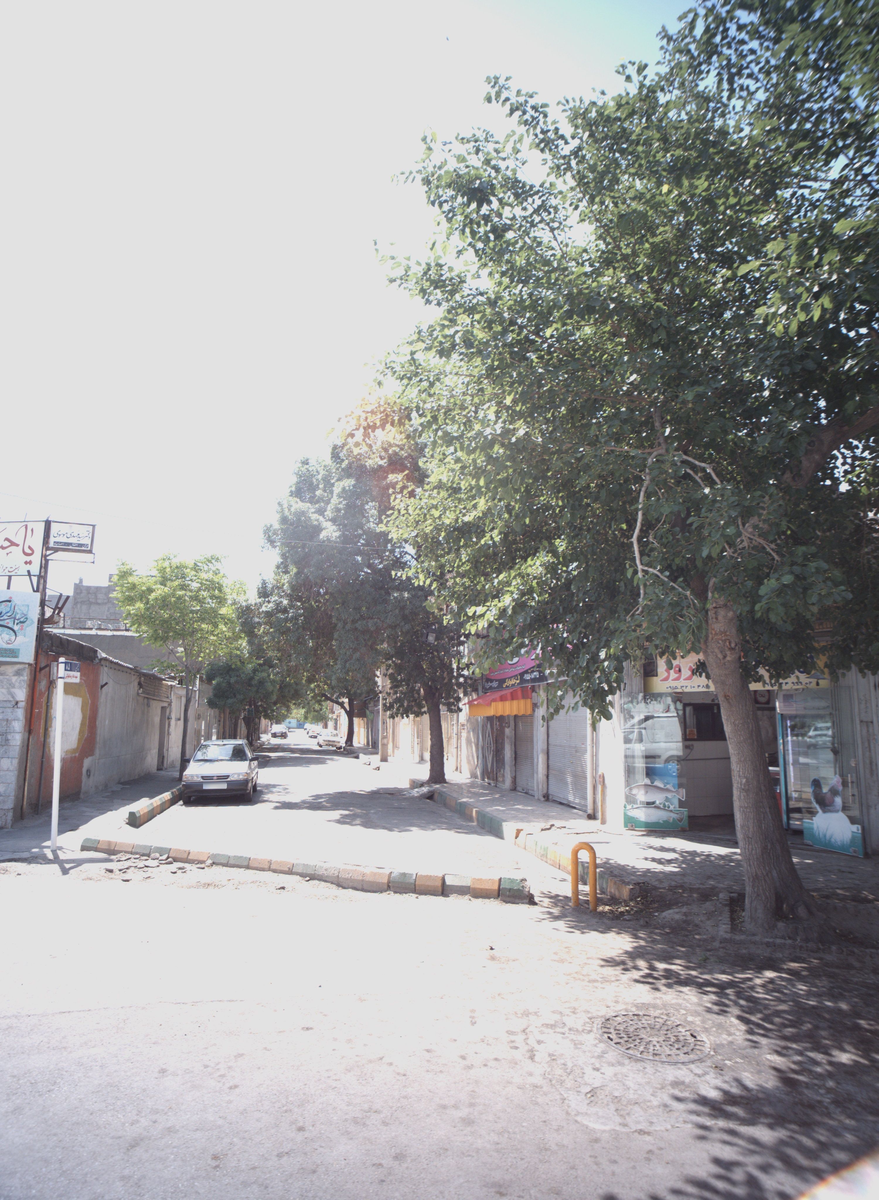 تهیه گوشت روز