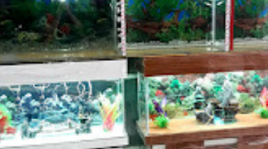 آکواریوم پرشین