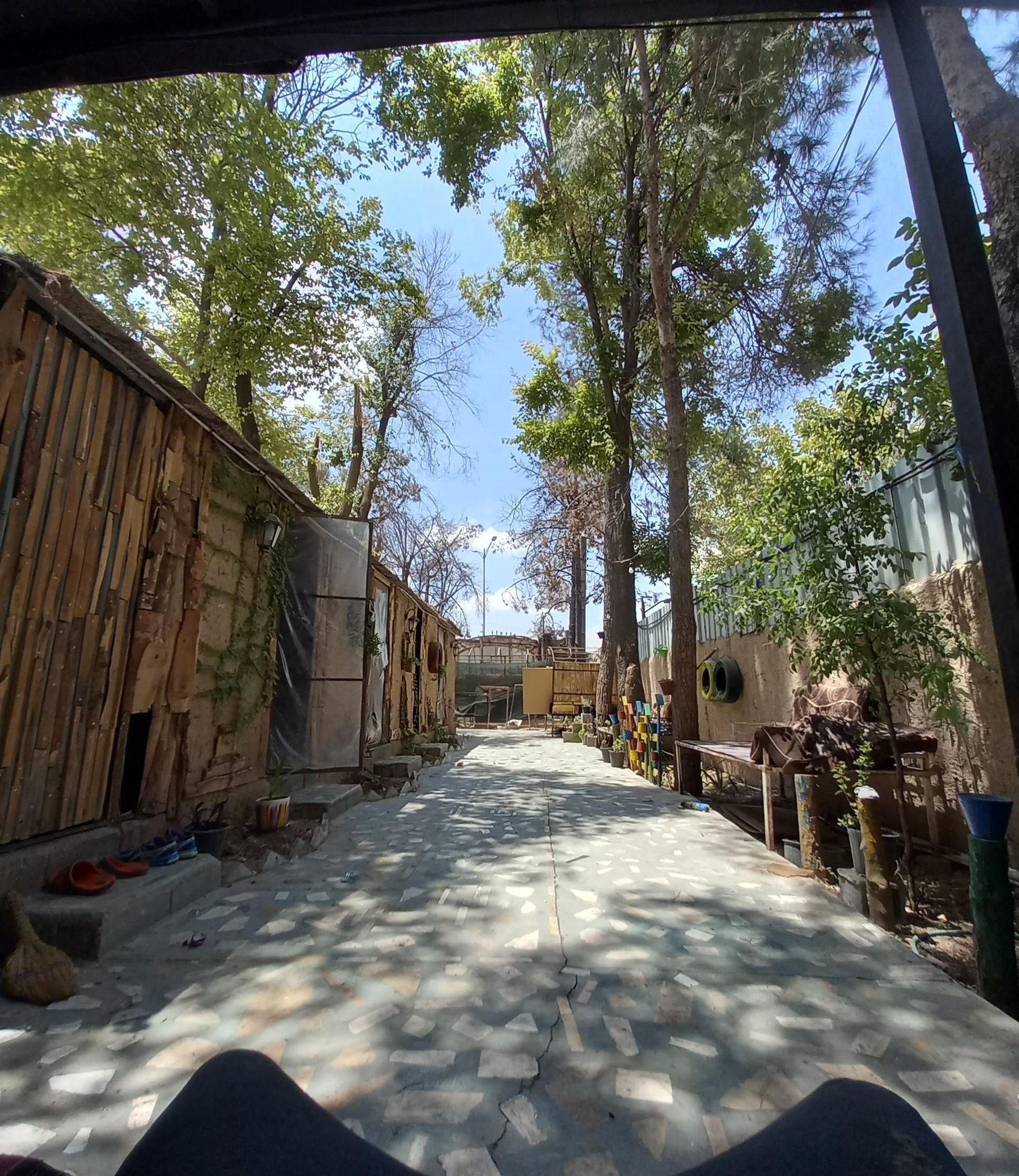 کافه داداشی