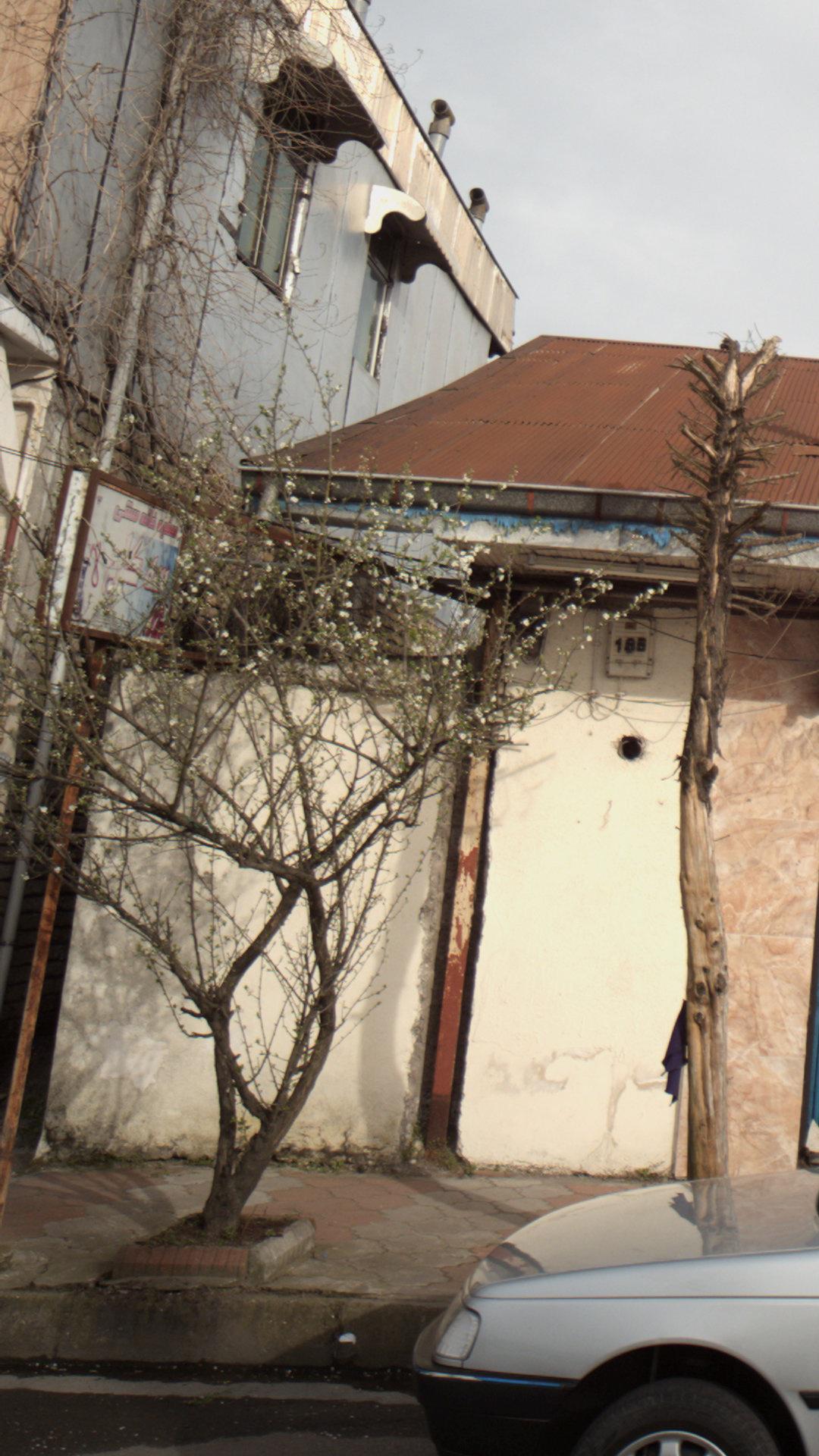 سفرهخانه سنتی سه کاج